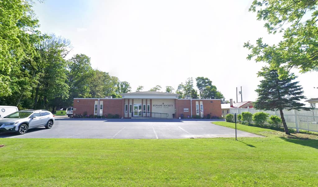 Humane Society of Lebanon County to hold ‘Rescue Rally’ adoption event Sept. 19-20
