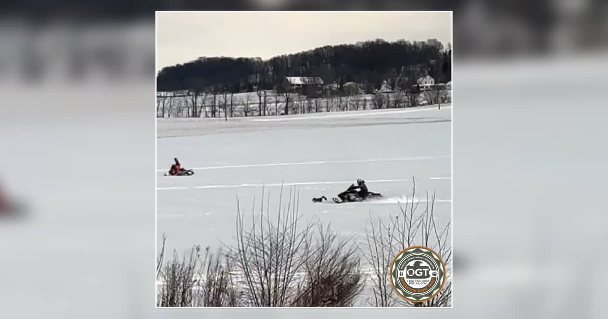 Myerstown man faces cruelty to animals charges over snowmobile incident