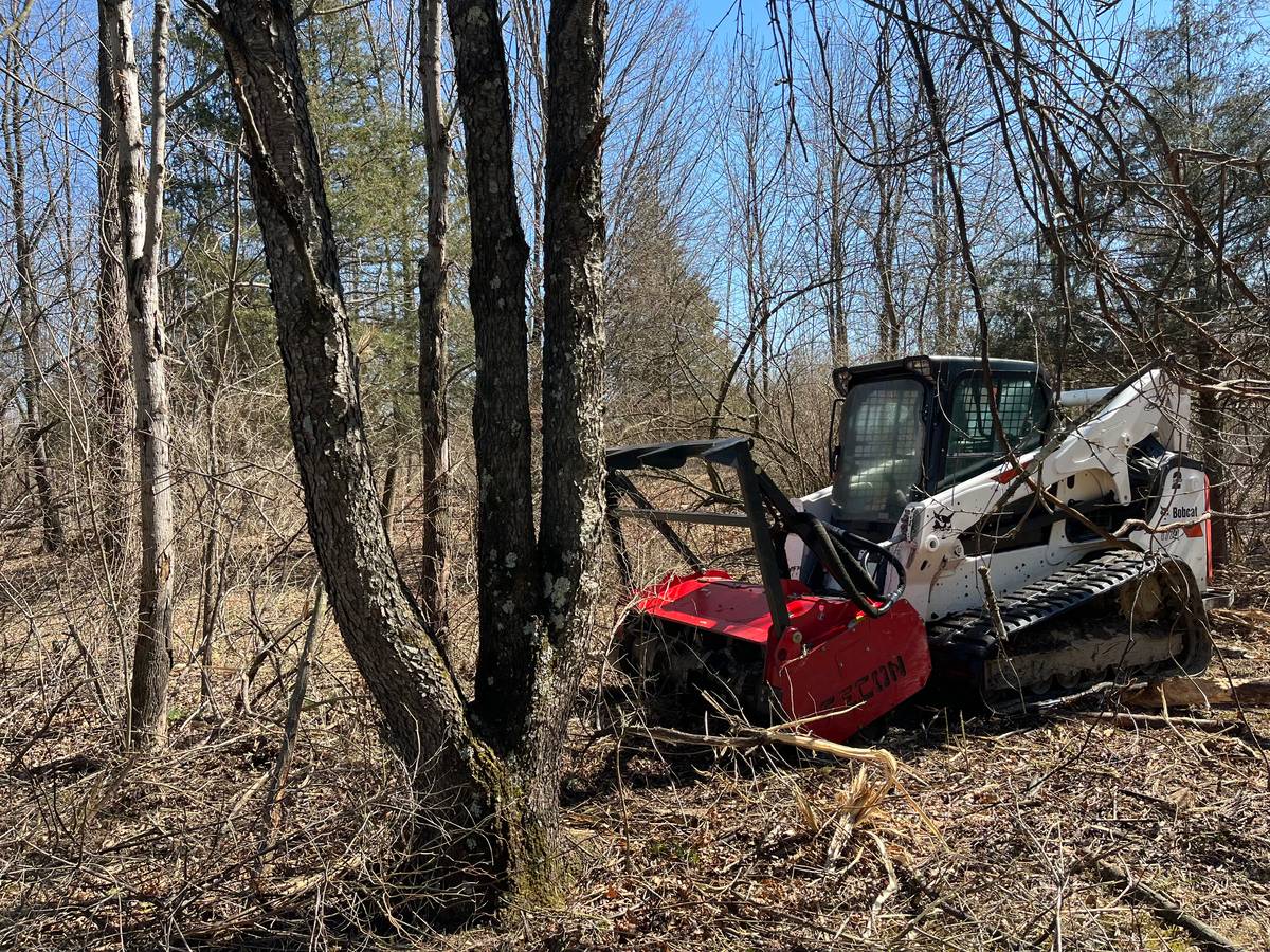 State agencies partner to restore native habitats at Swatara, Memorial Lake parks
