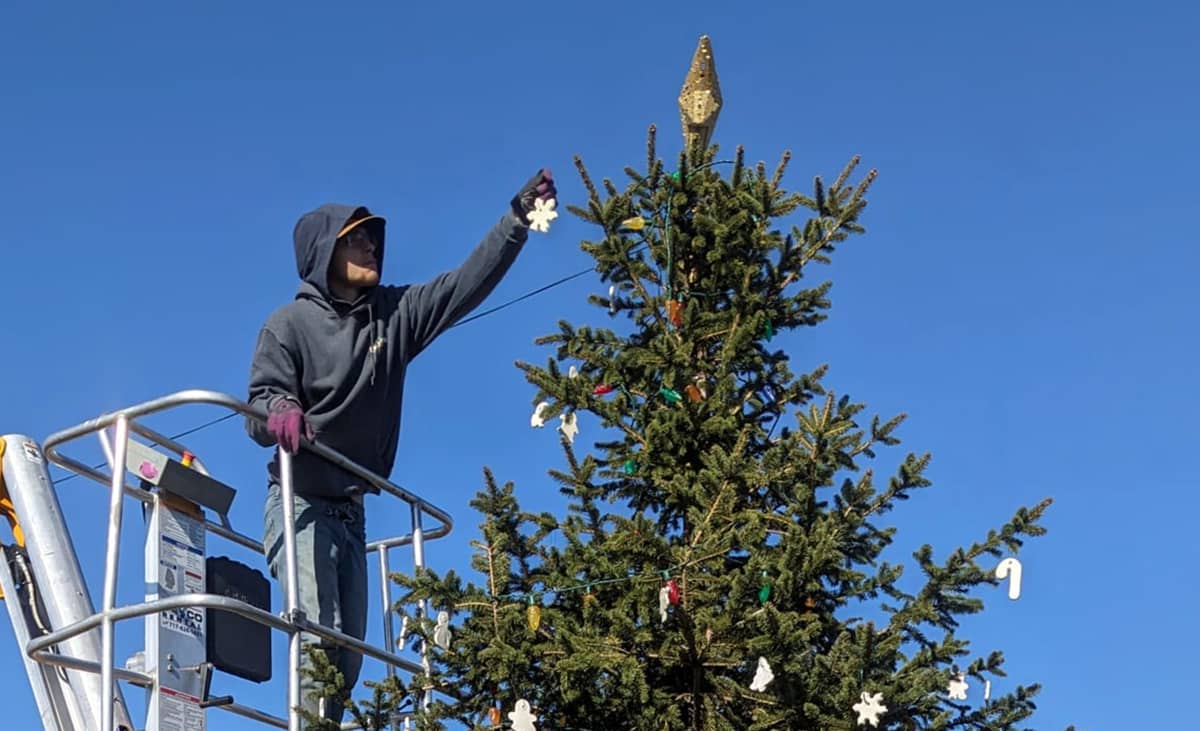 Campbelltown Community Alliance schedules annual tree lighting event