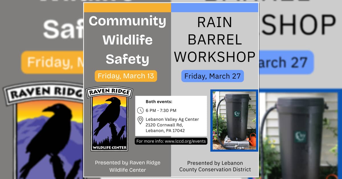 Lebanon County Conservation District to host wildlife safety & rain barrel events