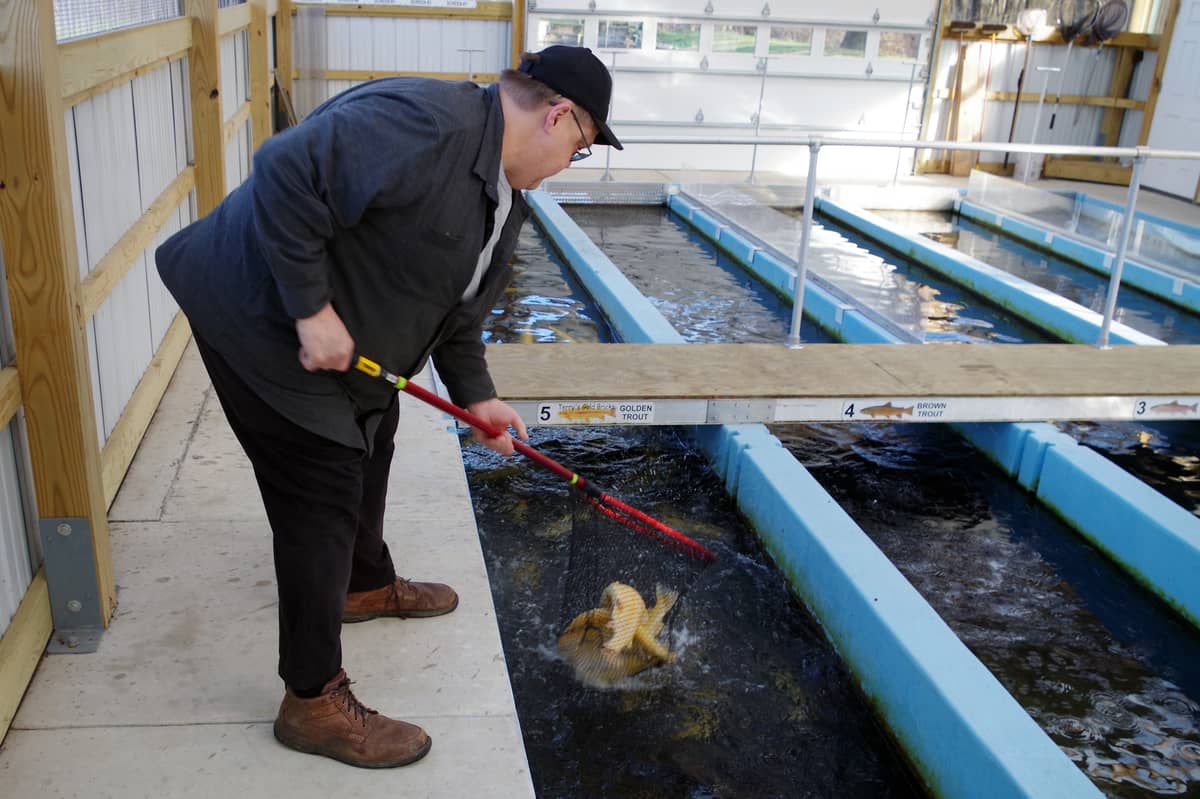 Cooperative nurseries supply trout for Lebanon County anglers