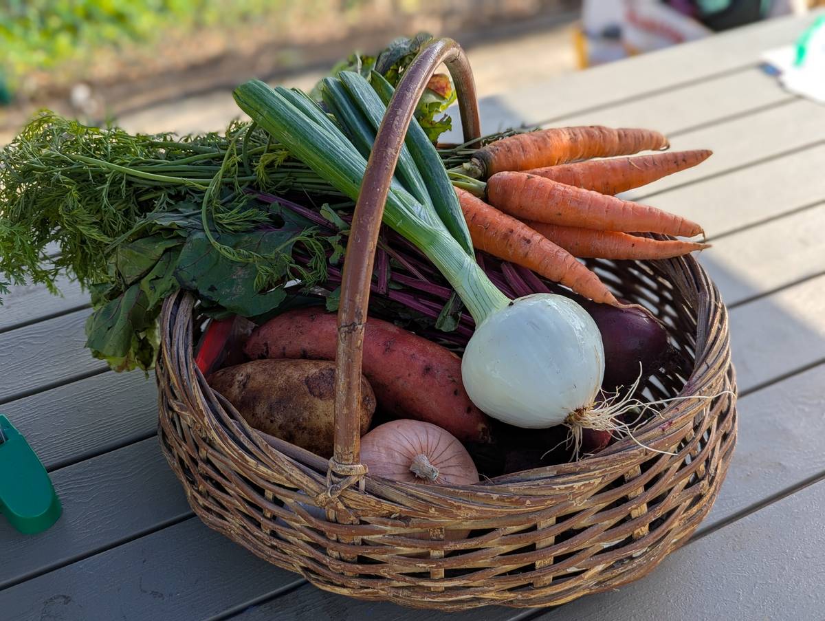 Penn State Extension hosting free garden and nutrition workshop for Lebanon County families