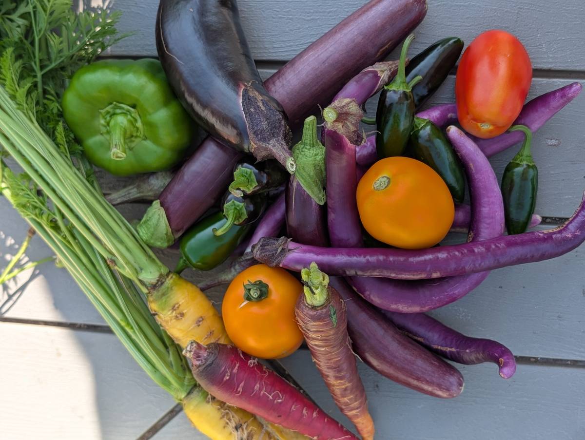 Penn State Extension offers free six-week gardening course for beginners