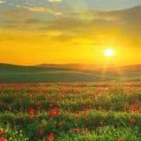 Sandra K. Lerch (1942-2026)