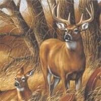 Kenneth N. Heisey (1934-2026)