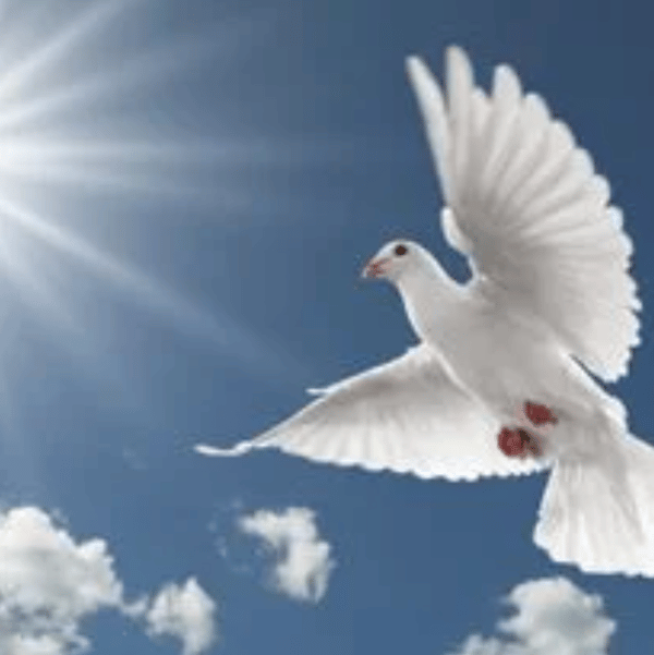 Jamie V. Stump (1981-2023)