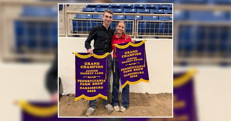 Lebanon County’s 4-H Week honors youth development programs