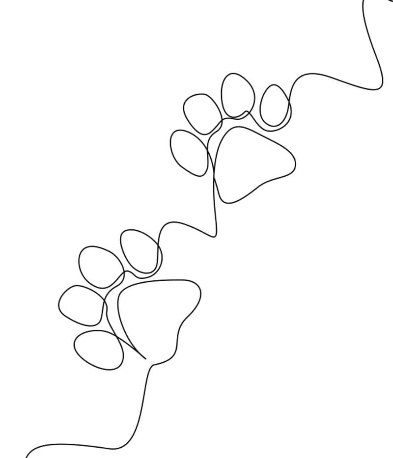 Mary A. Fortna (1937-2026)