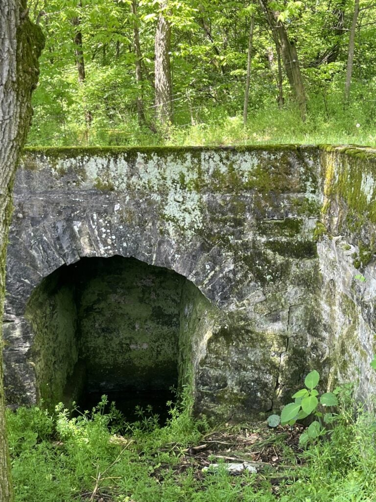 The remains of a springhouse on the Donmoyer farm in East Hanover Township, one of several historical features on the newly conserved property.